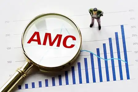 新知达人, 地方AMC存续债券规模逾千亿