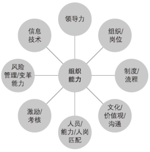 组织能力是比人才能力更加复杂的系统.