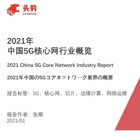2021年中国5G核心网行业概览
