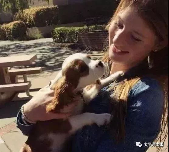 新知图谱, 对你影响最大的一个习惯?这是12位CEO的答案…-习惯管理-泰普洛领导力-新知号