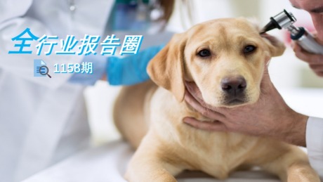 2022年中国宠物医学影像行业概览