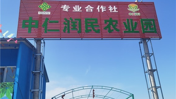 涿州义和庄镇西瓜节文化活动将于6月7日举办