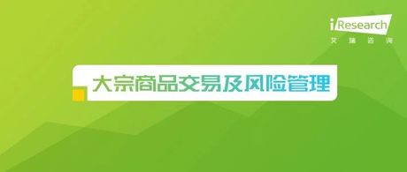 2023年中国大宗商品交易及风险管理IT服务市场研究报告