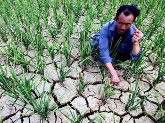 新知达人, 地球要"大降温"?南大洋正在吸碳,年吸碳量约比释放多5.