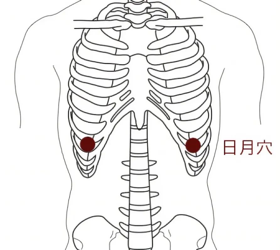 肋骨两侧是经络图图片