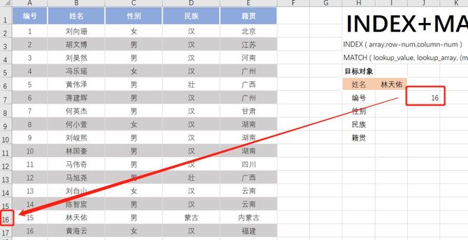 Excel高效应用, 【Excel函数教程】Index+Match函数组合应用详解