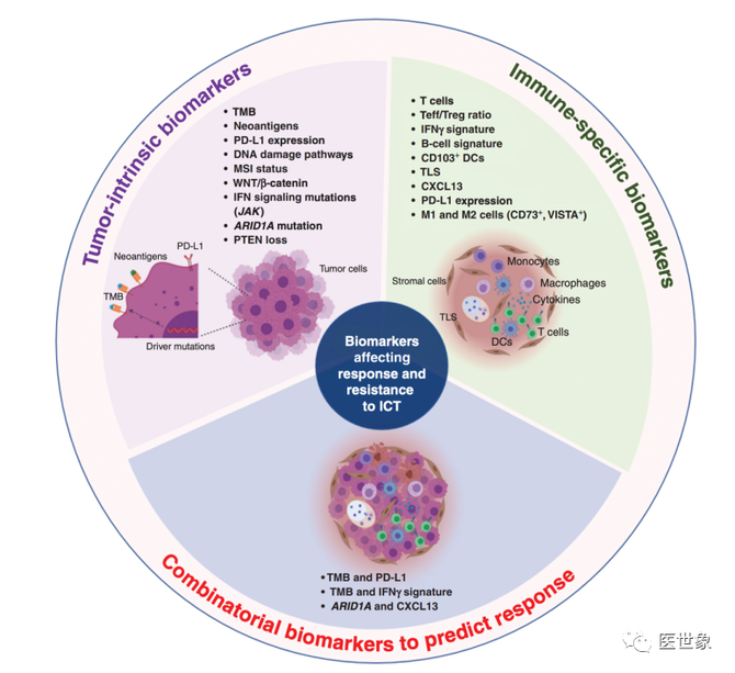 新知達人, 《cancer discovery》 | 抗腫瘤