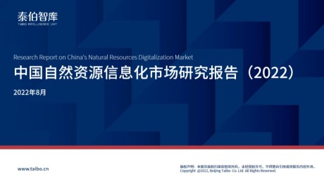 《2022中国自然资源信息化市场研究报告》正式发布