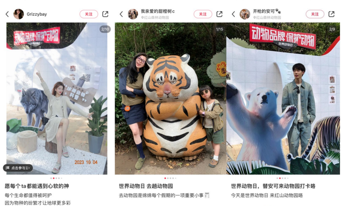 中视快报网, 天猫联合“动物”品牌保护动物， 公益发声再进阶