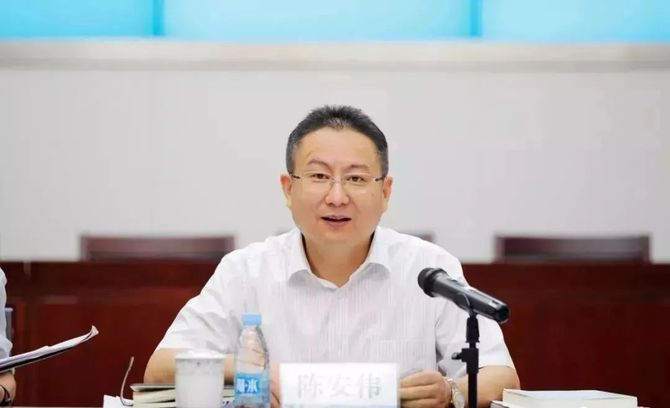 陈安伟,国网安徽省电力有限公司董事长,党委书记.