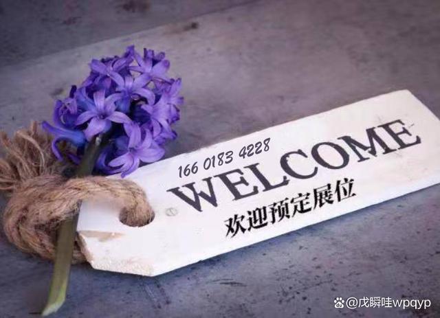 科技小琴, 2024深圳新能源汽车锂电池连接器线束展会|锂电池盒模具展会
