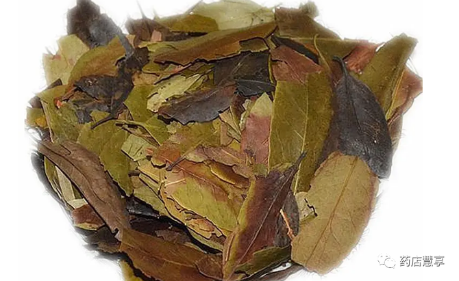 教你学中药四季青