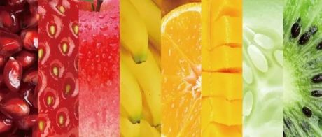 中国商业模式的 “水果” 分类