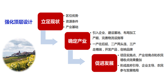 项目申报农业产业强镇建设项目申报解析