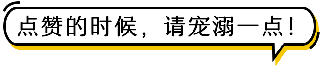 新知图谱, 精酿啤酒创业的真相