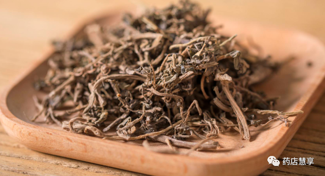 教你学中药马齿苋