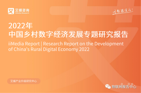2022年中国乡村数字经济发展专题研究报告