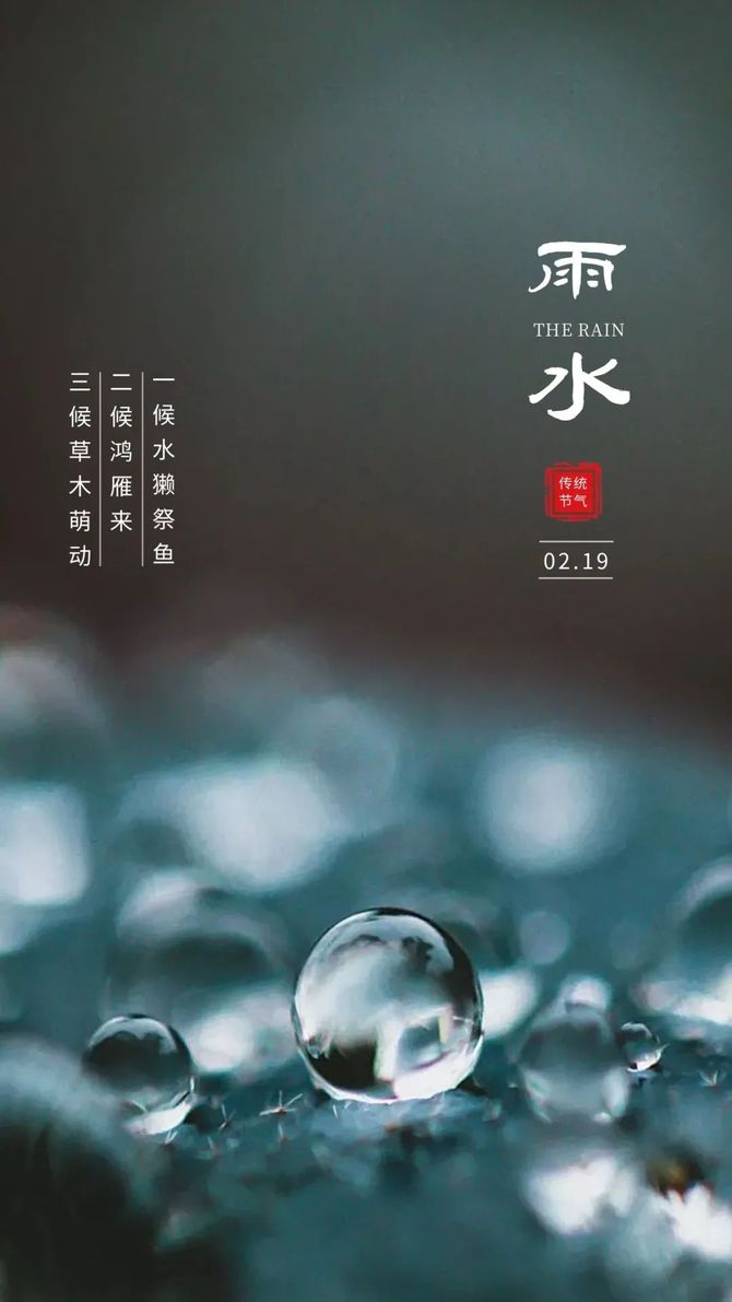 雨水節氣文案海報遇見春天