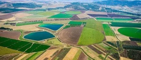 以色列农业：如何成为强国，农业科技功不可没
