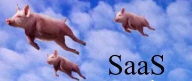 SaaS风口起飞的猪，该如何着地呢？