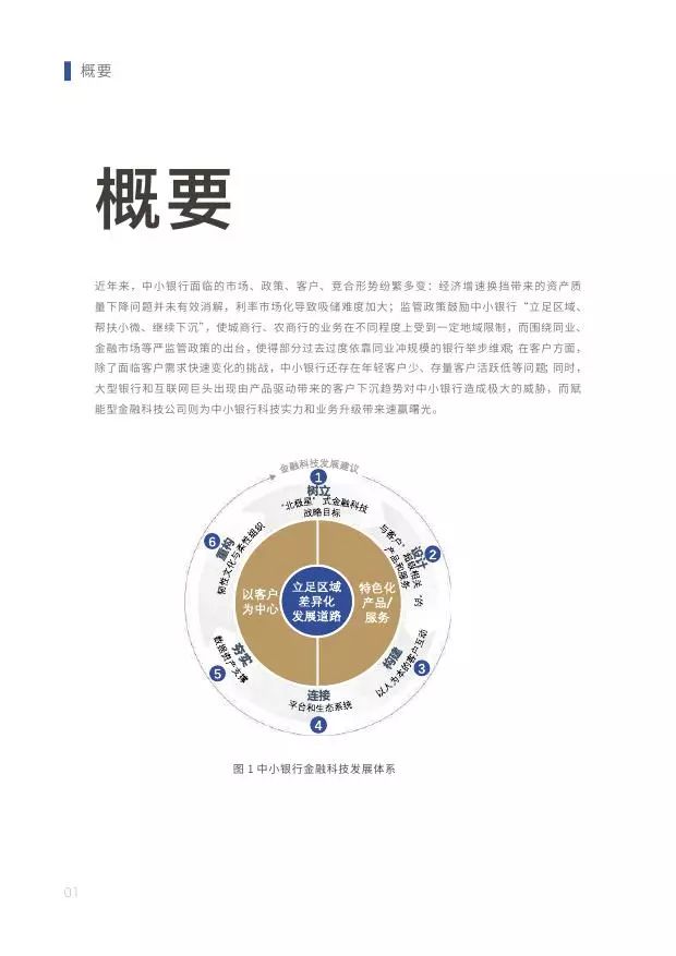 新知图谱, 2019中小银行金融科技发展研究报告