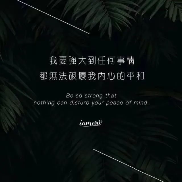 從房產到it,命運自己掌握