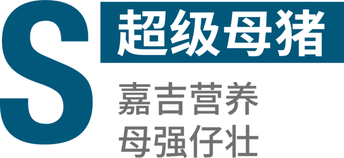 及時淘汰低產能母豬; 嘉吉後備母豬