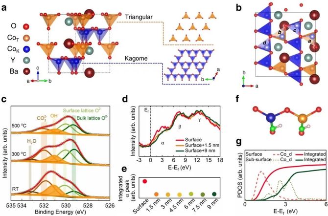 新知达人, 孟颖/徐梽川,最新Nature子刊!