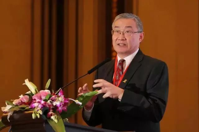 源 | 设计与哲学文 | 文贯中华裔教授文贯中:中国若一着不慎,现代化