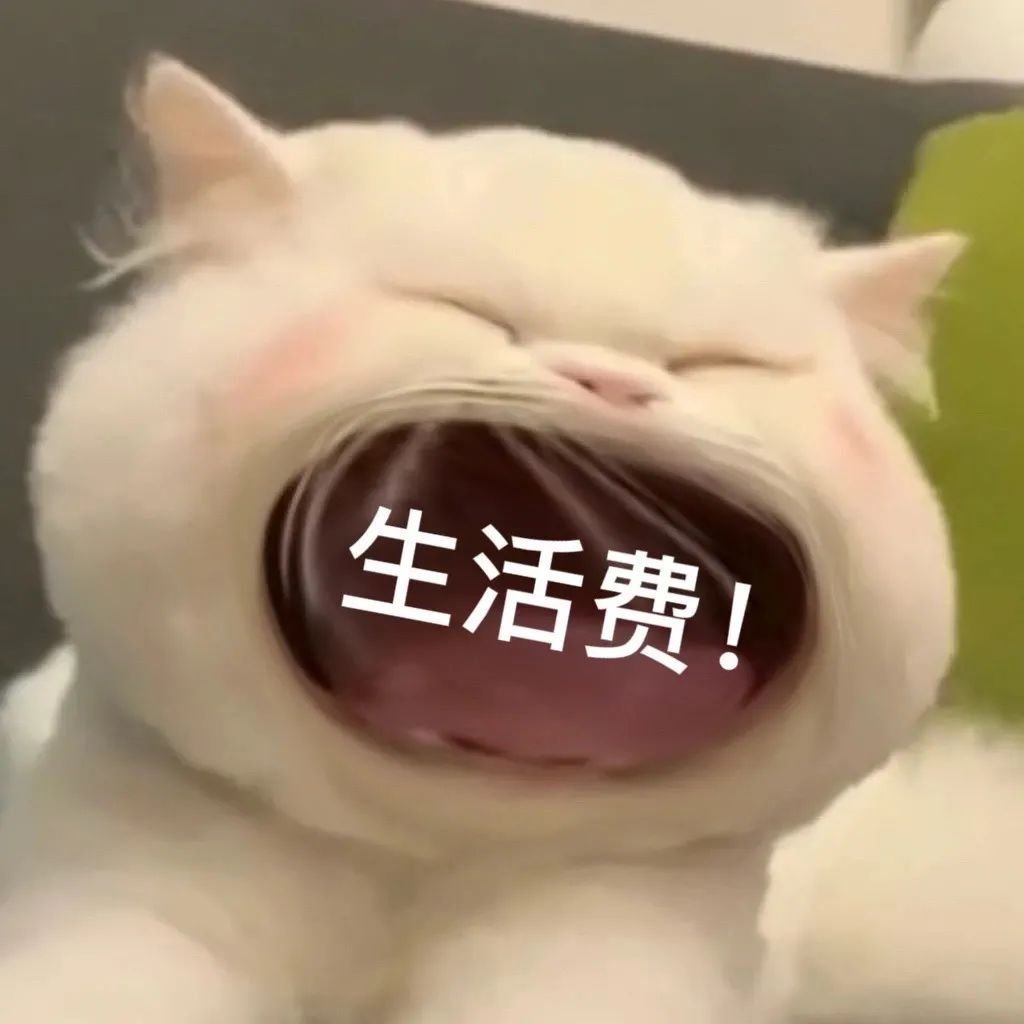 大嘴猫表情包要生活费专用