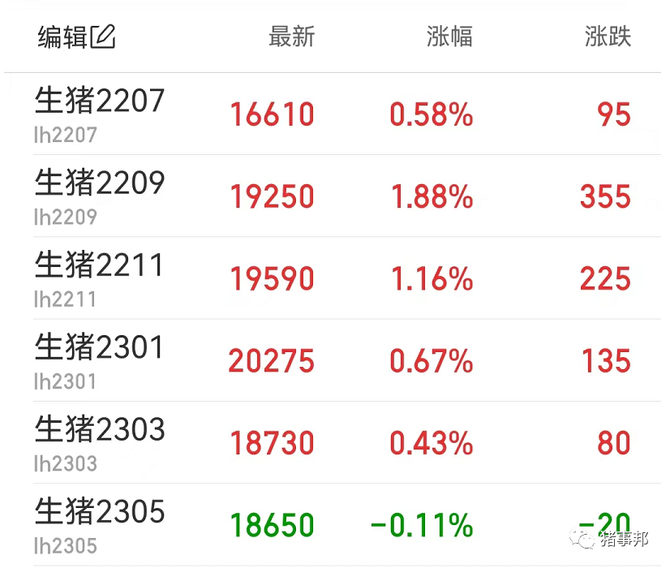 豬事邦6月7號大致豬價生豬價格僵持仔豬跌價了6月會變天嗎直播間一起