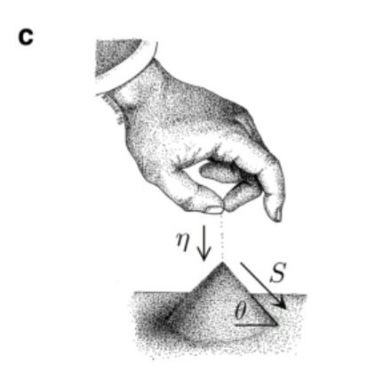 【生物】合成生物学前沿:在活细胞中设计自组织临界态