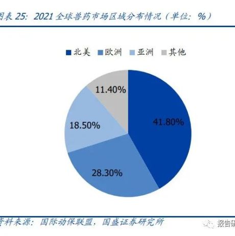 2022年中国宠物产业市场前景及投资研究报告
