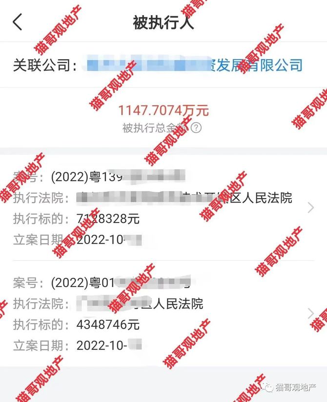 地产圈杂货铺, 公司已经四个月发不起工资了……