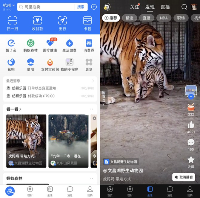 新知达人, 支付宝决定「抖音化」，可行吗？