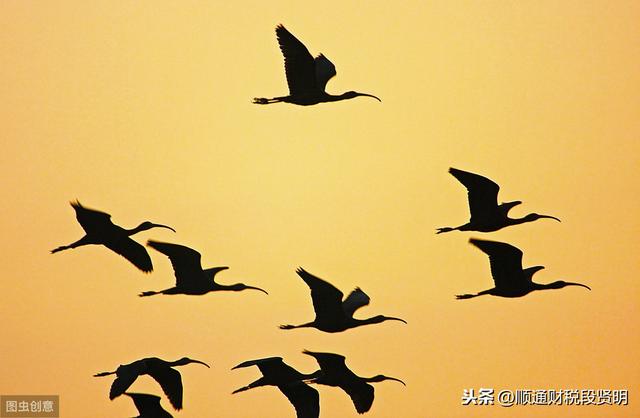 新知图谱, 我和头条有个约定,不一样的生活扬帆起航
