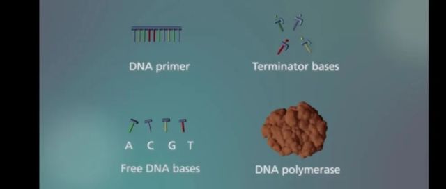 DNA测序行业扫盲