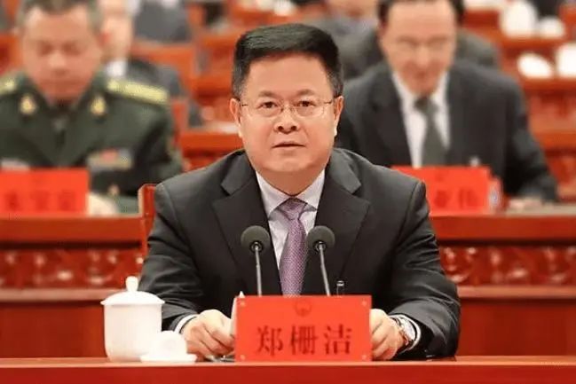 国家发改委主任郑栅洁:没有项目,没有投资,就没有未来!_水利设计师茶