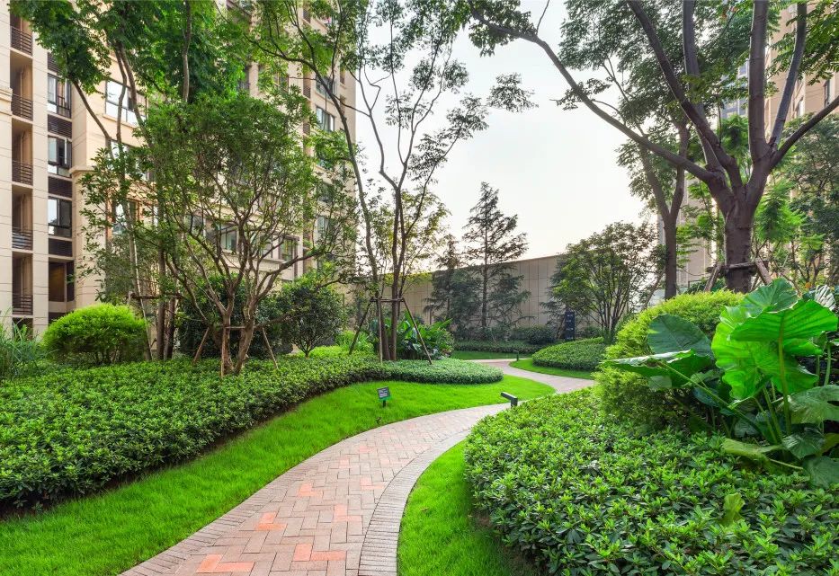 景观中弧形的应用水景景墙微地形种植池