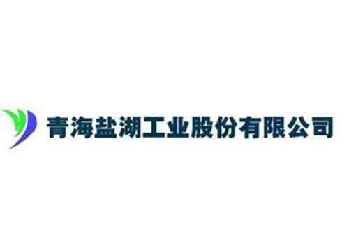 盐湖股份设立子公司就是为了非法采矿?