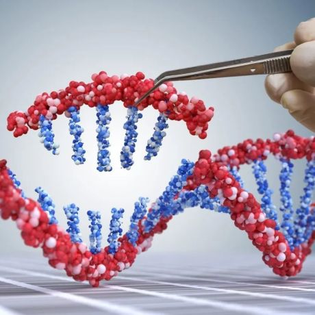未来十年，CRISPR的用途不是治疗，而是预防