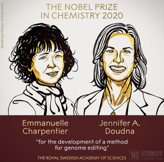 新知达人, Intellia——女诺贝尔奖得主光环加持的基因编辑先驱【基因编辑三巨头系列】