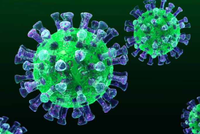 漫画:新型冠状病毒 是什么鬼?