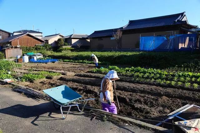 重磅研究日本如何搞“一村一品”（附案例分析）_农业行业观察商业新知