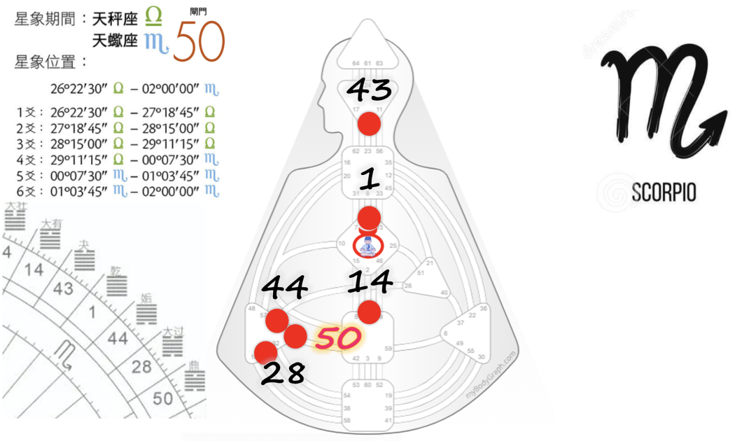 人類圖閘門星座易經卦脈輪的對應關係