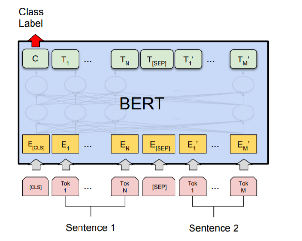 新知达人, 【面试经验】关于BERT，面试官们都怎么问