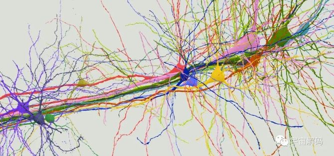 科学家即将揭示人类大脑神经网络结构的奥秘