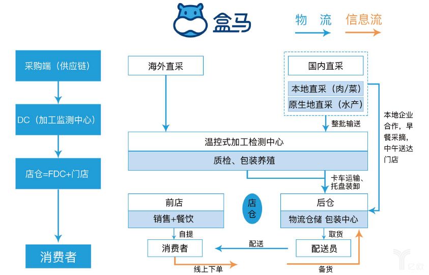 盒马人员架构图图片