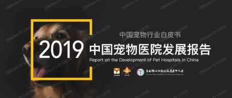 铃铛宠物&狗民网：2019中国宠物医院发展报告