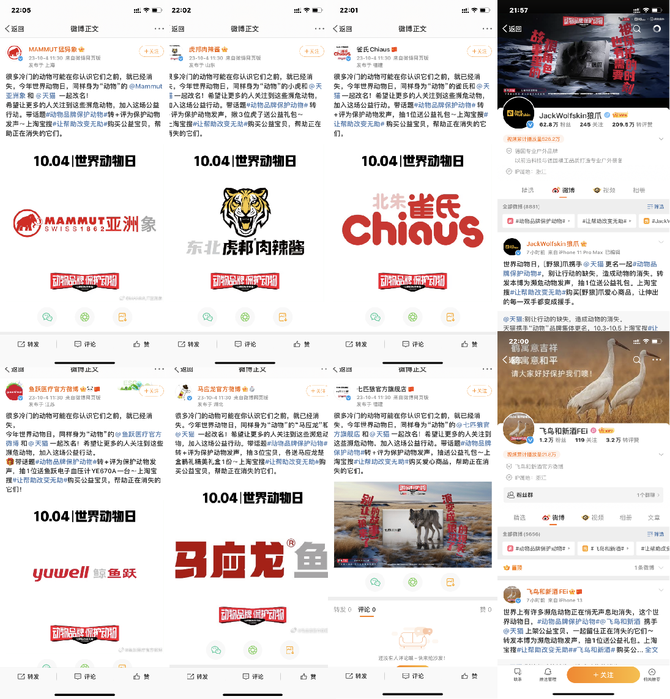 中视快报网, 天猫联合“动物”品牌保护动物， 公益发声再进阶